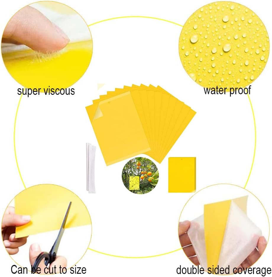 10 Pack Sticky Trap, Both-Sided Yellow Sticky Traps,15X20cm, Fruit Fly Trap - Image 3