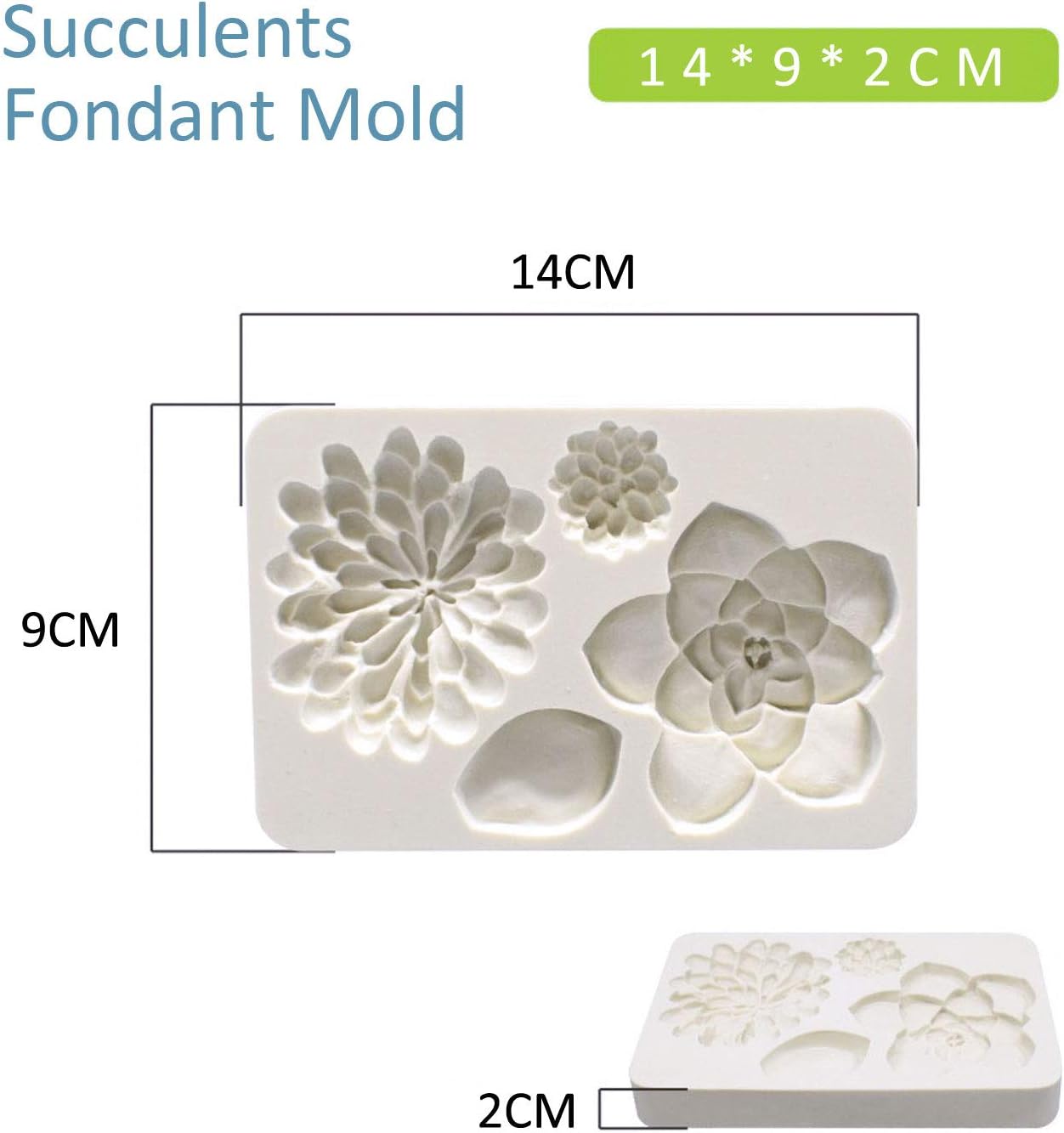 2PCS Fondant Mold Succulent Silicone Fondant Mold Fern Fondant Succulent Leaves - Image 2