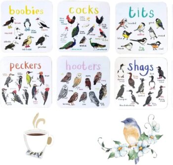 6 pcs Square Coasters, Bird Pun Coasters Bar Sets