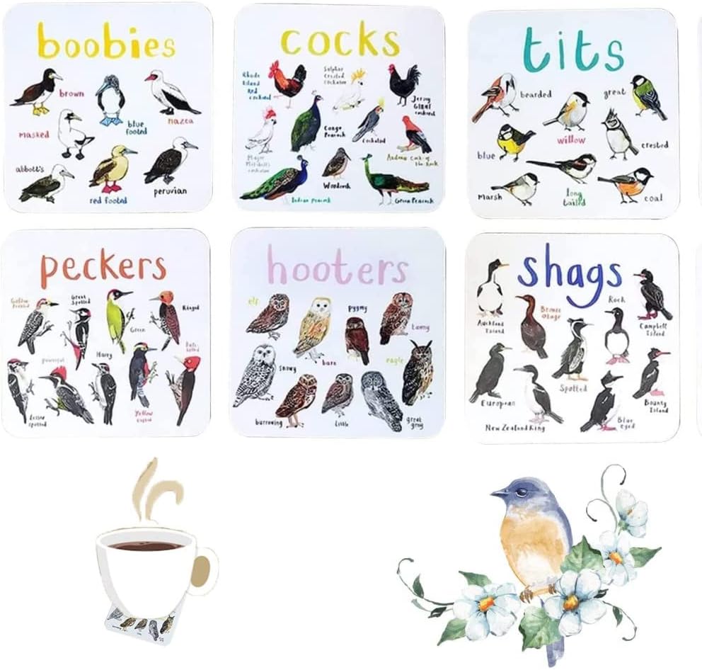 6 pcs Square Coasters, Bird Pun Coasters Bar Sets