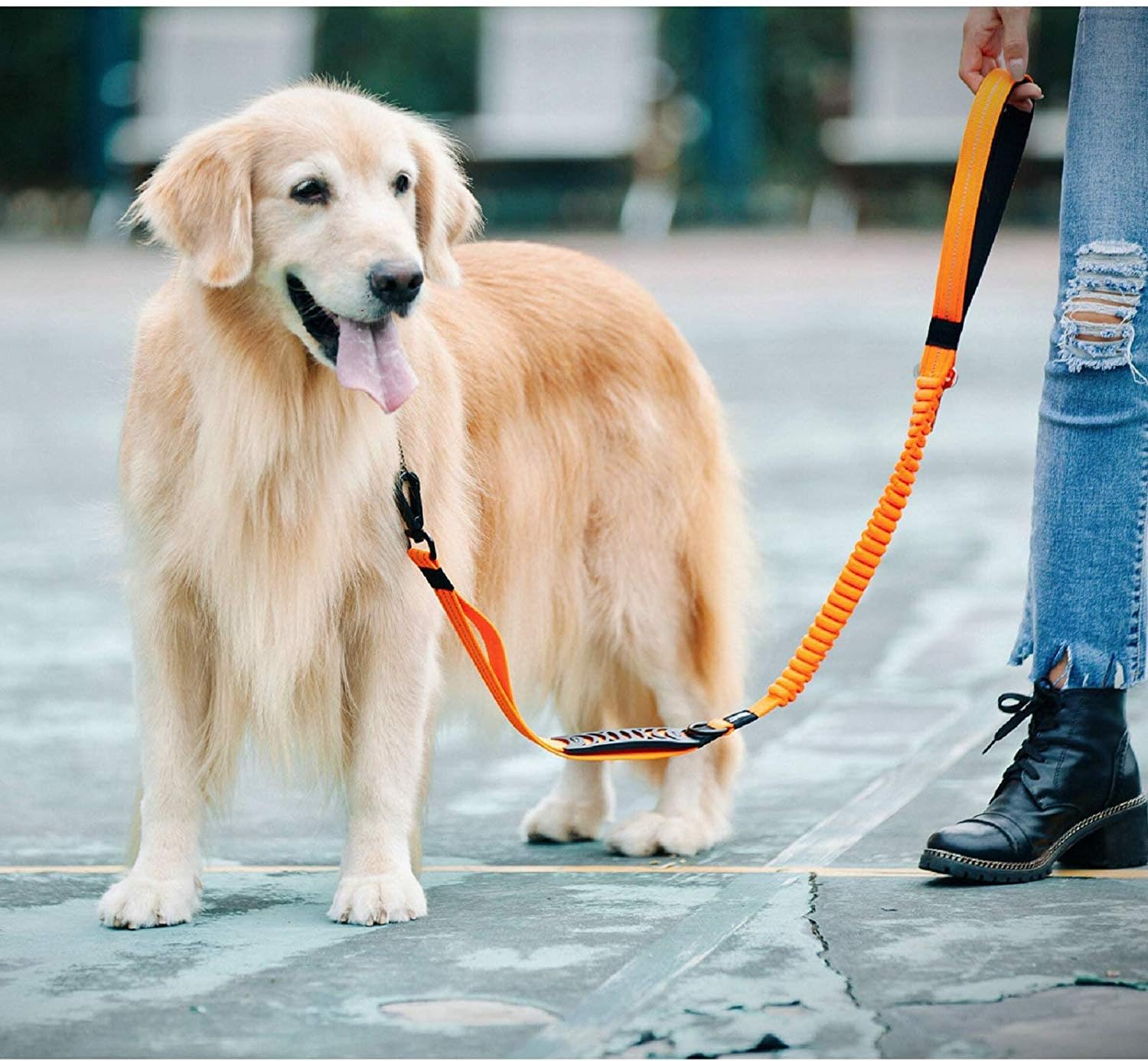 2 in 1 Dog Lead & Car Seat Belt, 150cm Reflective Anti-Shock Bungee Dog Leash - Image 6
