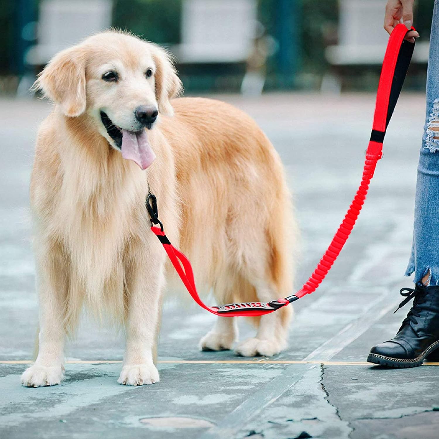 Dog Lead & Car Seat Belt 2 in 1 , 150cm Reflective Anti-Shock Bungee Dog Leash - Image 7