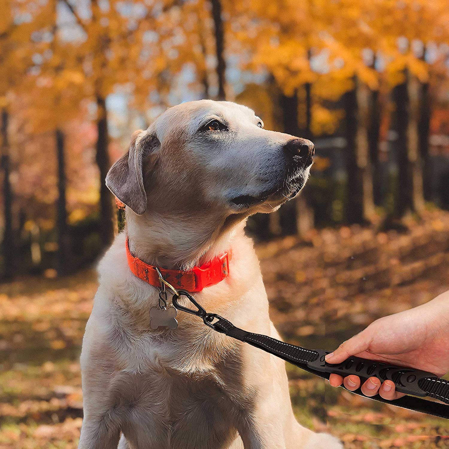 Dog Lead & Car Seat Belt 2 in 1 , 150cm Reflective Anti-Shock Bungee Dog Leash - Image 7