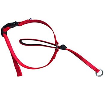 Dog Collars & Leashes Pet Head Collar Gentle Control Leash Leader Stop Pulling