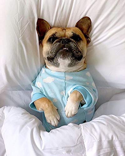 Parisian Pet Dog Pajamas - Cute Cat/Dog Onesie, Size XL - Blue Cloud - Ideal - Image 4