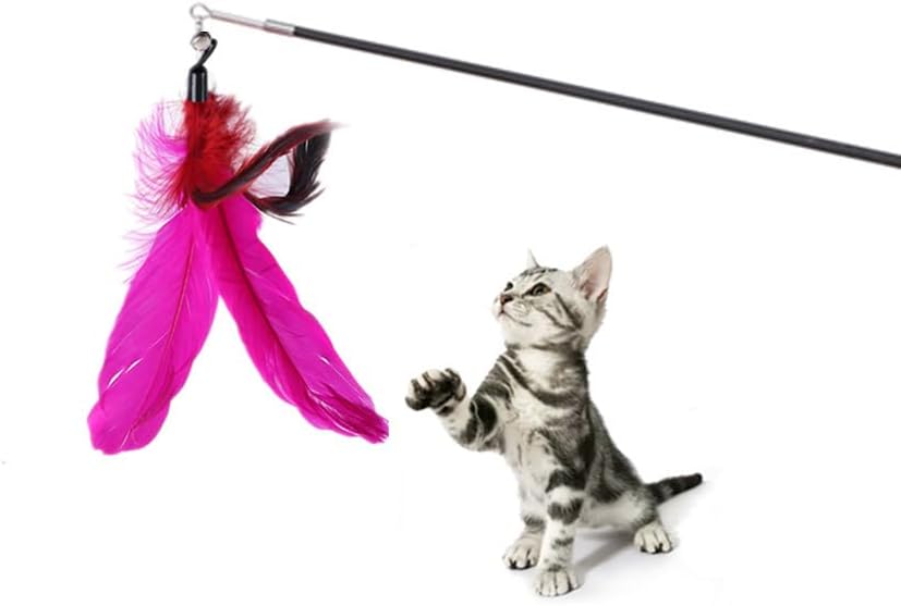 Interactive Cat Toy, Retractable Cat Toys Wand 2 Wands & 9 Assorted Teaser - Image 3