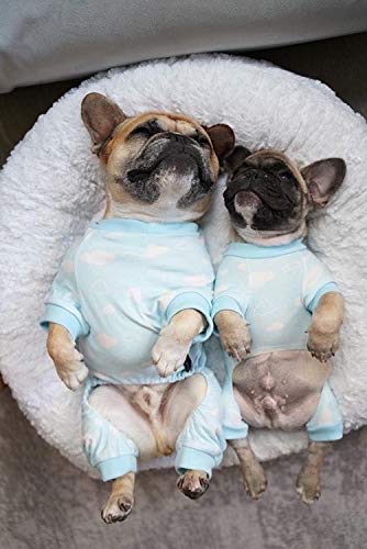 Parisian Pet Dog Pajamas - Cute Cat/Dog Onesie, Size XL - Blue Cloud - Ideal - Image 5