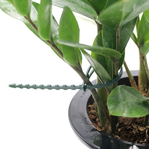 100 Pcs 17.5 cm (6.9") Adjustable Plant Ties Flexible Plant Cable Ties Plastic - Image 5