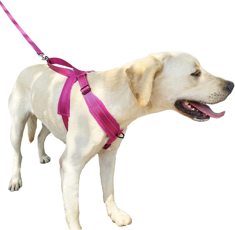 Dog Harness No Pull Pet Adjustable Reflective Breathable Outdoor Vest - Image 2