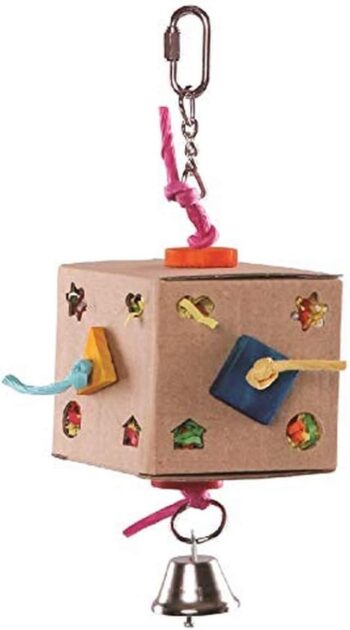 Cardboard Activity Box with Bell, Small, Assorted S (Pack of 1)