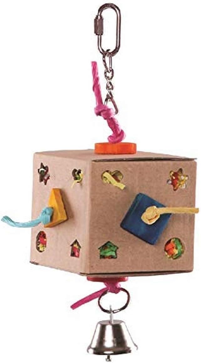 Cardboard Activity Box with Bell, Small, Assorted S (Pack of 1)