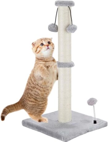 20" Cat Scratching Post for Indoor Cats Scratch Post Cat Scratcher for Kitten
