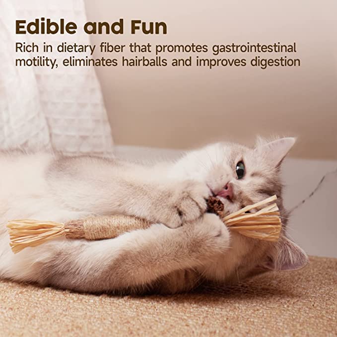 6 Pcs Catnip Toys Silvervine Chew Stick Natural Silvervine Blend Sticks Cat nips - Image 5