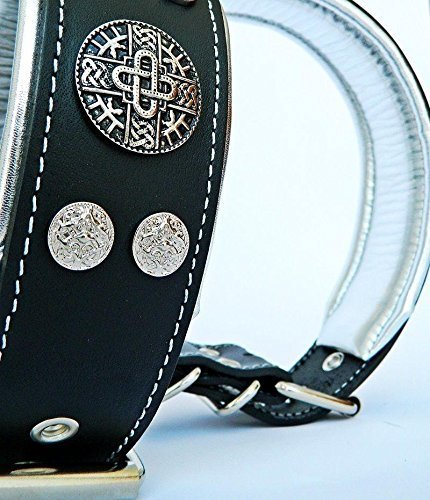 Genuine Leather Dog Collar, Large Breeds, Cane Corso, Rottweiler - Image 2