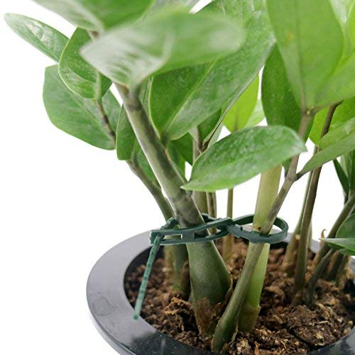 100 Pcs 17.5 cm (6.9") Adjustable Plant Ties Flexible Plant Cable Ties Plastic - Image 6