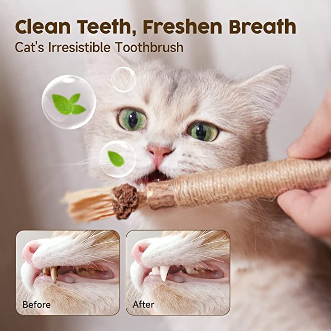 6 Pcs Catnip Toys Silvervine Chew Stick Natural Silvervine Blend Sticks Cat nips - Image 4