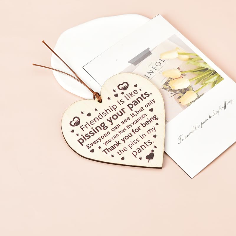 Funny Friend Gifts for Women Men Friends Sign Wall Decor Wood Best Friend Thank - Image 4