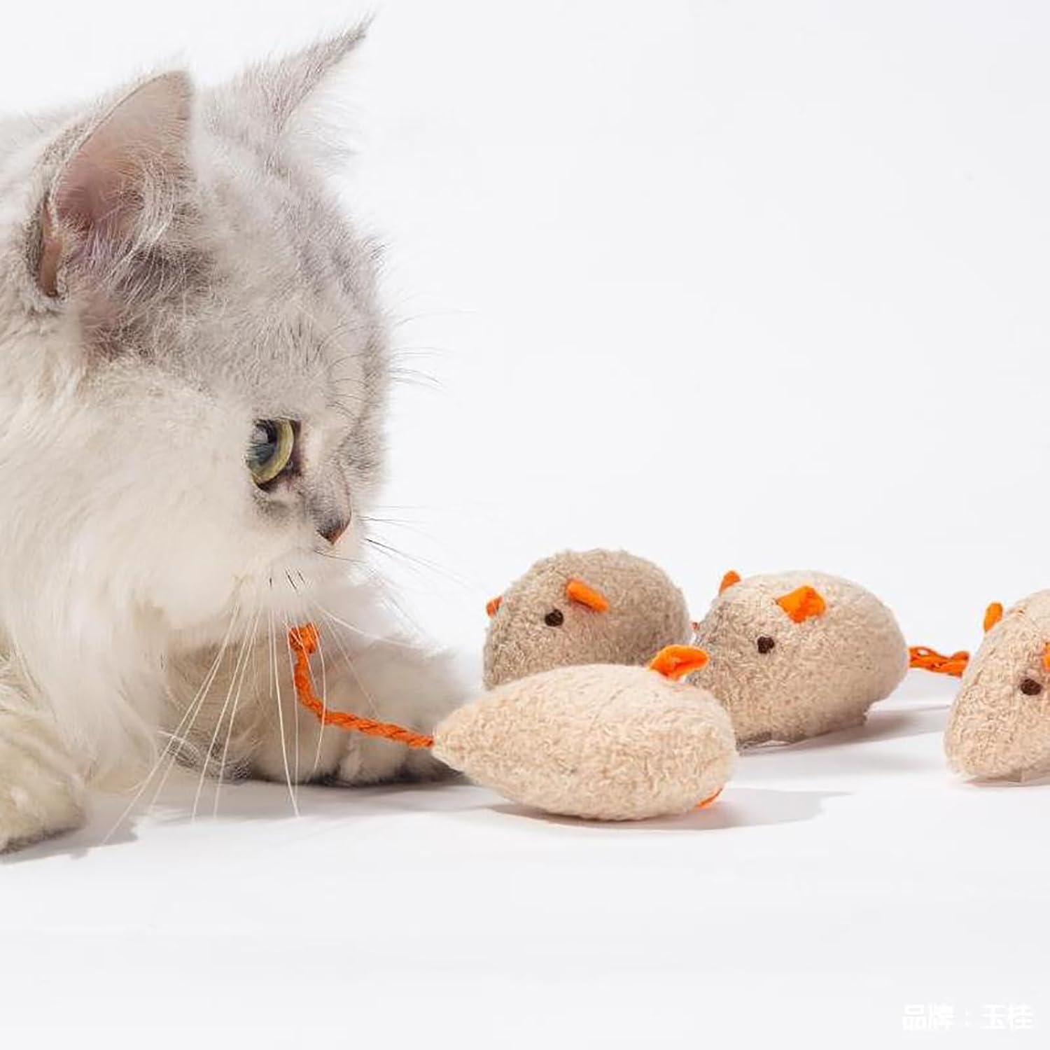 6 PCS Natural Silver Vine Sticks Cat Toys,Cat Snacks Sticks,Catnip Cat Chew Toys - Image 6