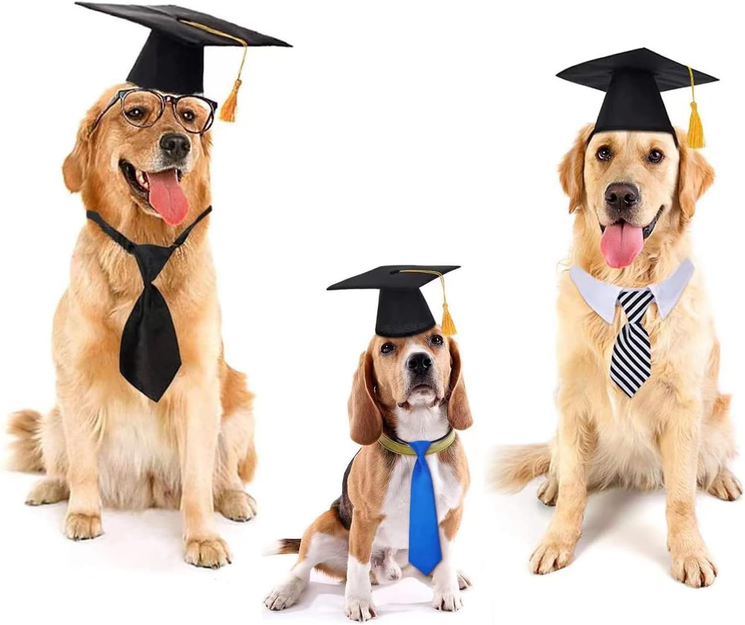 Pet Graduation Hat Dog Cat Pet Costumes Pet Doctor Cap with Yellow Tassel - Image 4