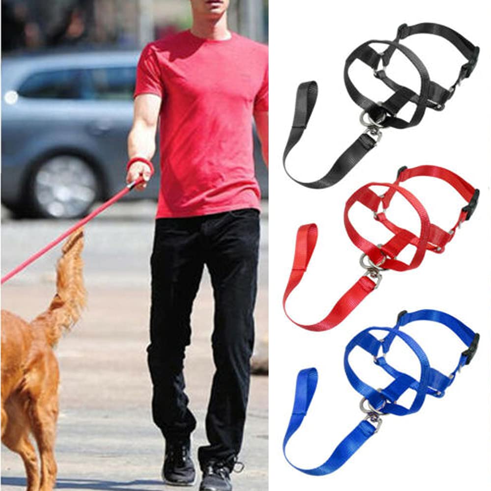 Dog Collars & Leashes Pet Head Collar Gentle Control Leash Leader Stop Pulling - Image 4