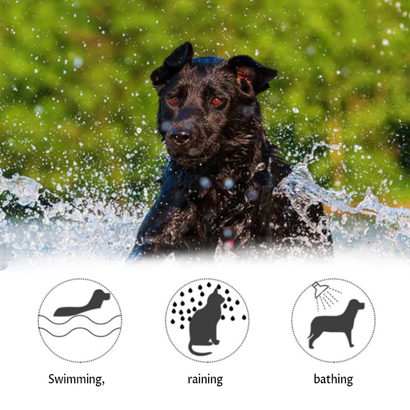 Calming Collar for Dogs Reduce Anxiety for Your Pets Pheromone Calm Collars - Image 6