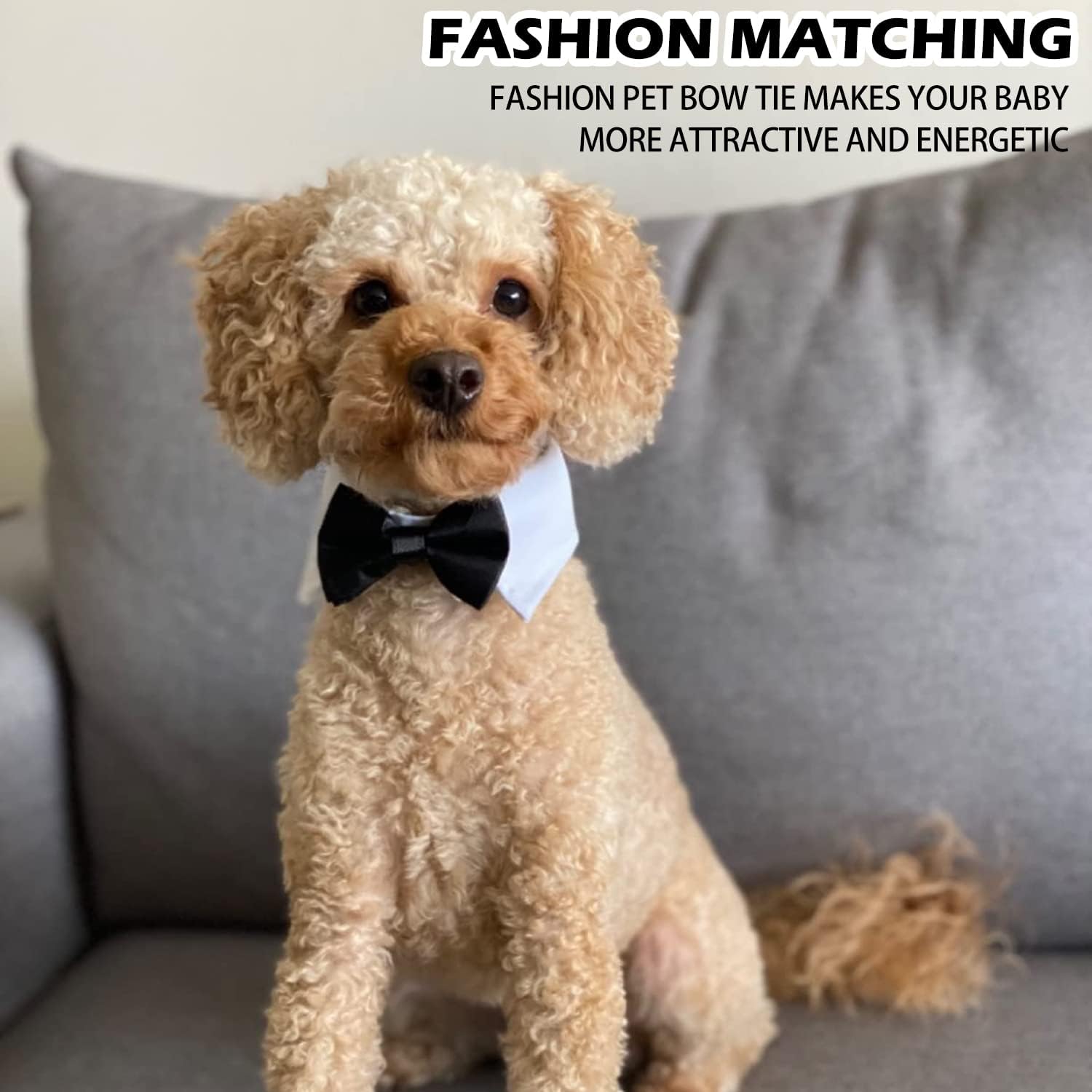 Bow Tie Pets Dog Cat Adjustable Formal Collar Neck Tie Tuxedo (Black-S) - Image 5