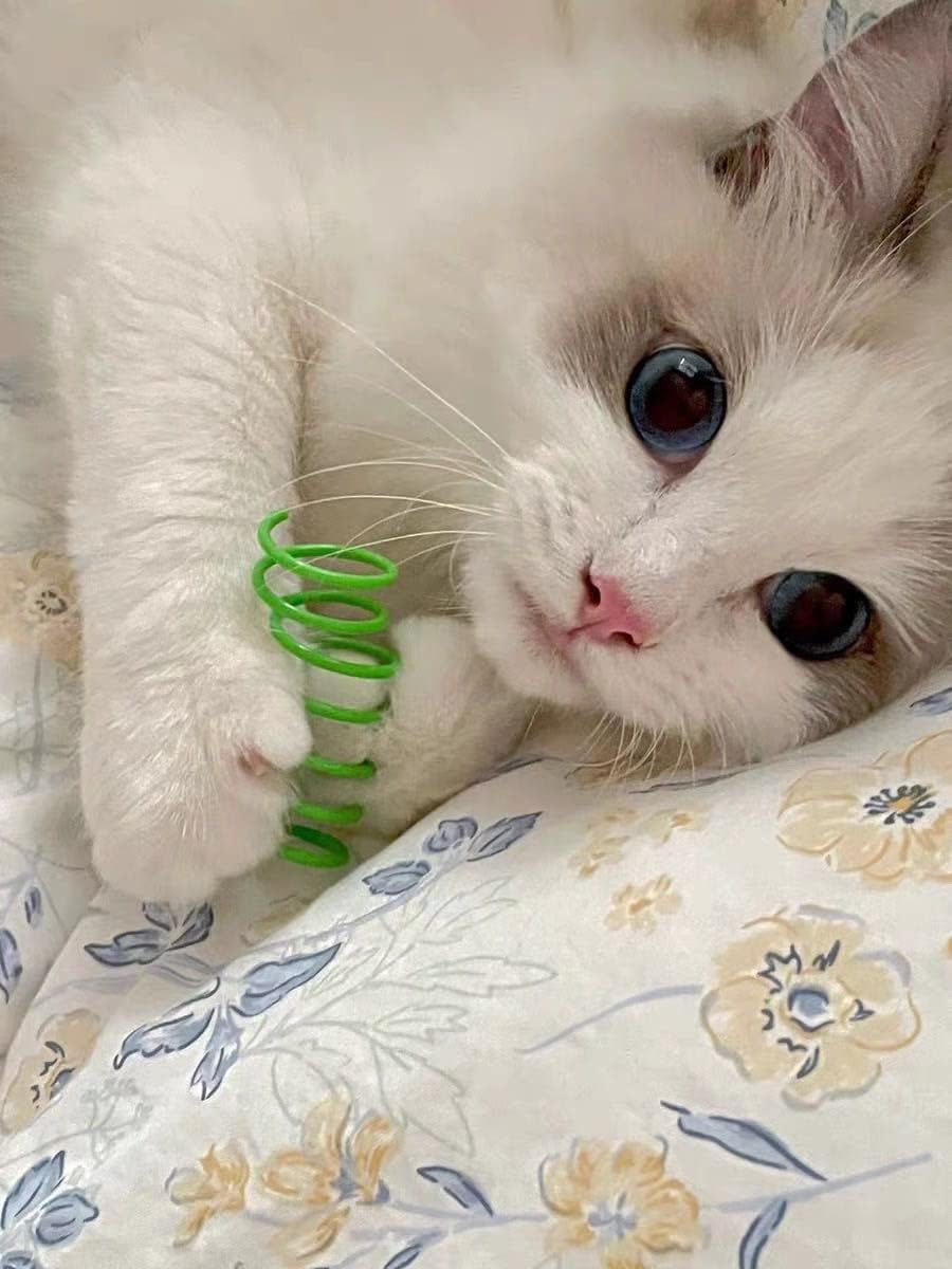 Cat Spring Toy (100 Pack), Interactive Cat Toy for Indoor Cats, Lightweight - Image 6