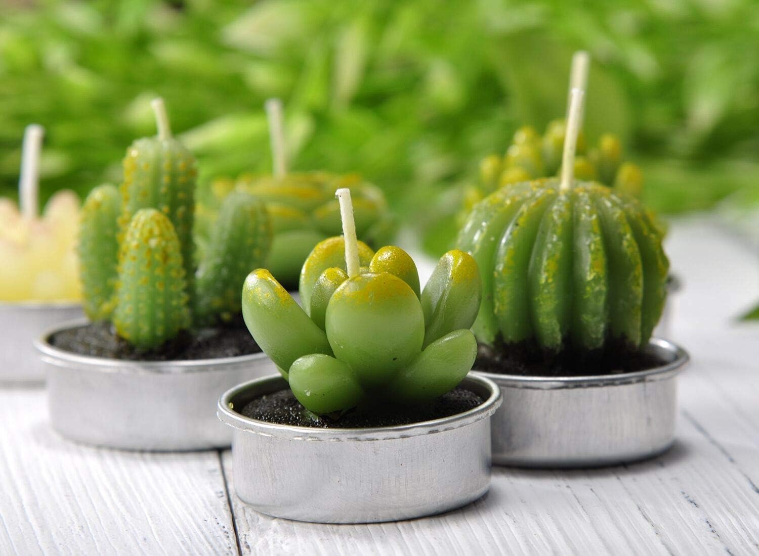 Cactus Candles Tealight Smokeless Handmade Cute Mini Plants Gift Set Plant 12 - Image 5