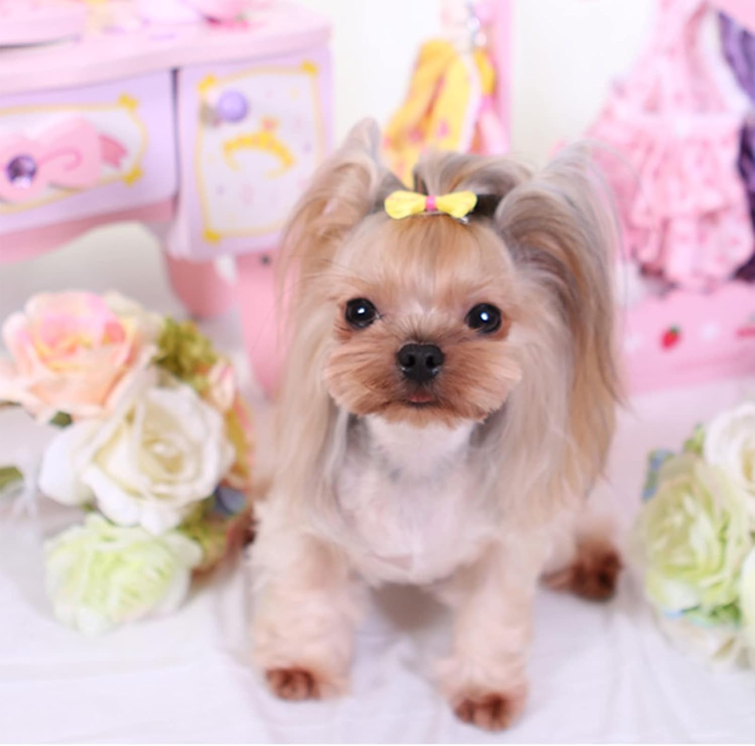Pet Dog Hair Bows Clips, Pet Small Dog Grooming Bows with Metal Clips for Dog - Image 4