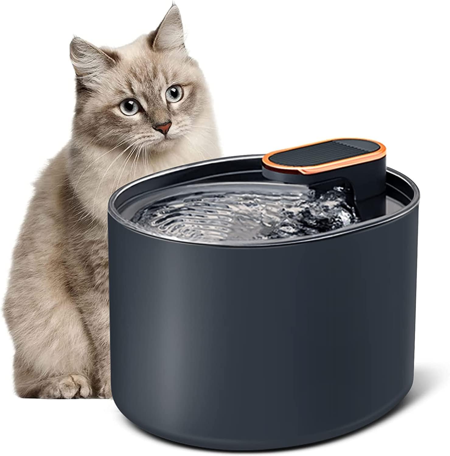 Cat Water Fountain Pet Fountain Dog Water Dispenser: Easy to Clean