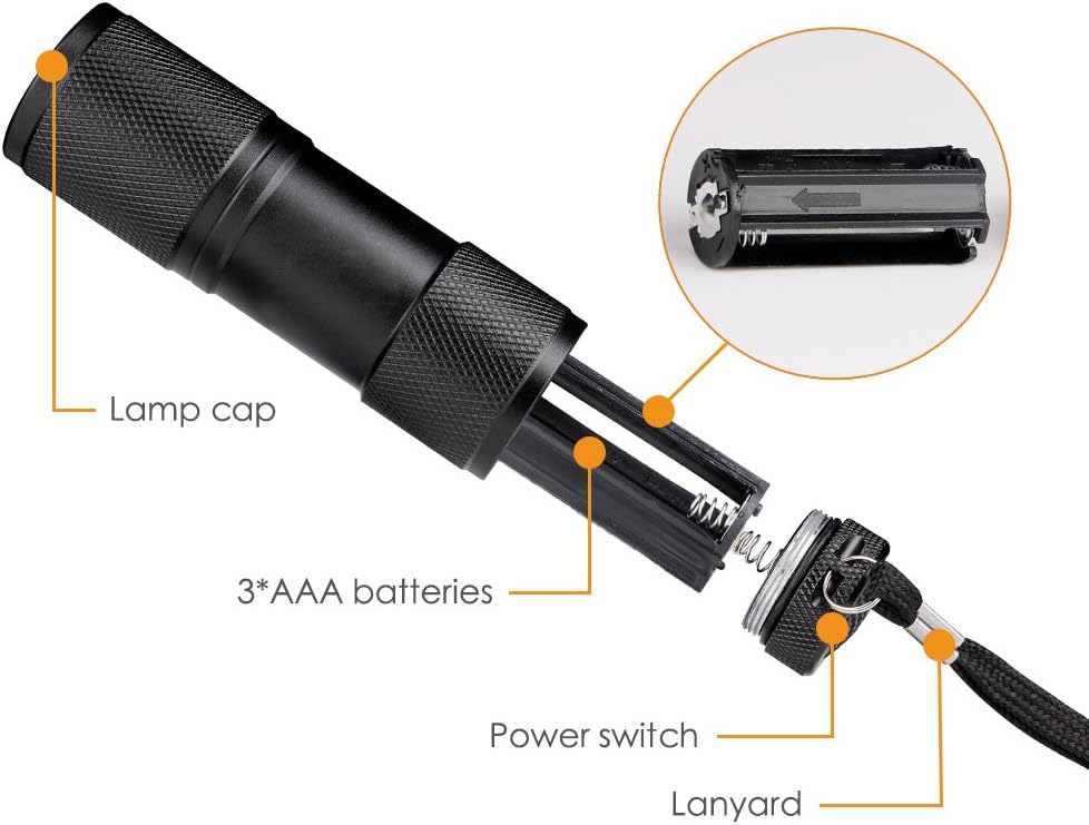 395nm Blacklight UV Flashlights, Portable 9 LED Black Light Ultraviolet Lamp - Image 3