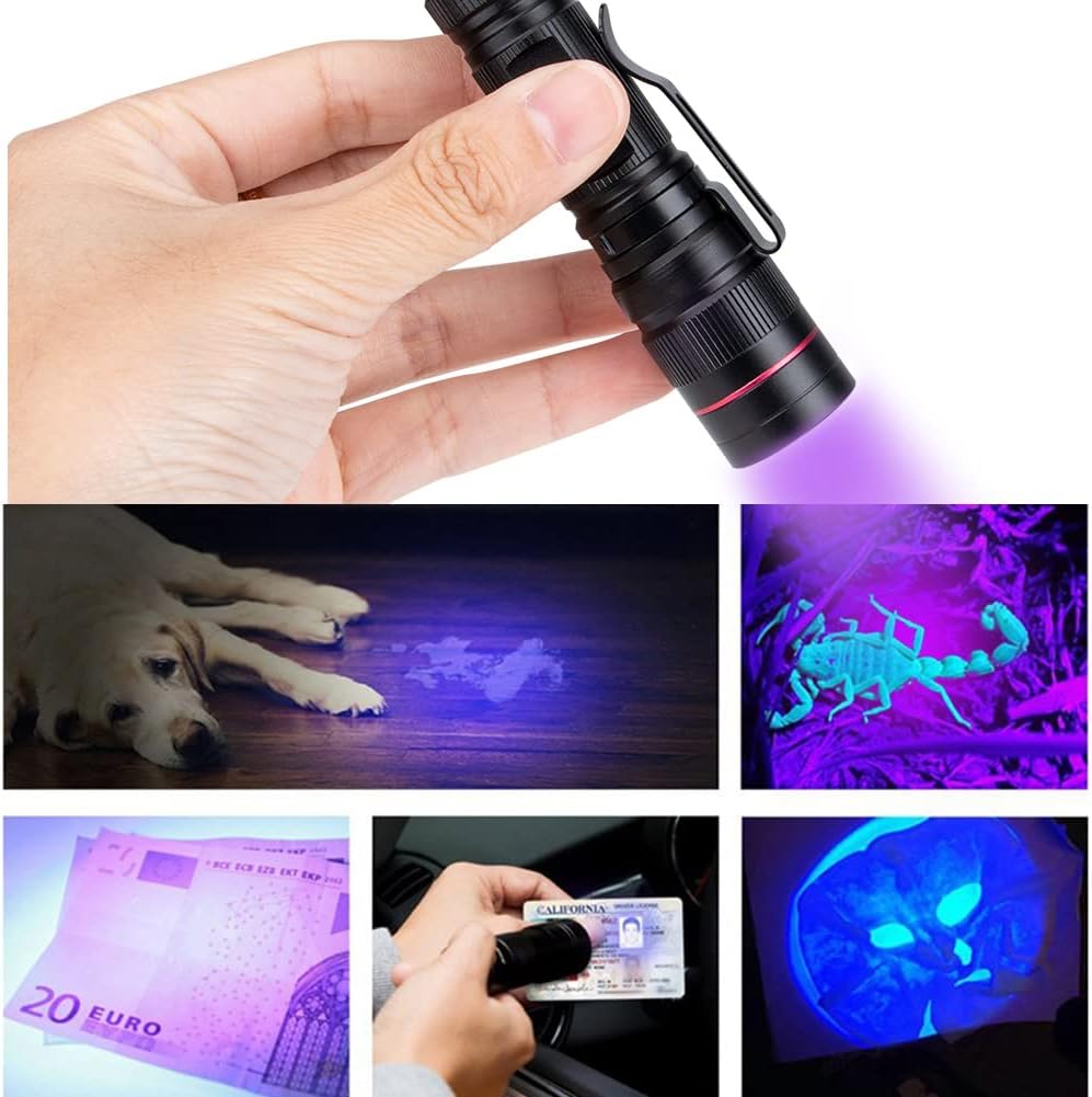LED Blacklight Ultraviolet Flashlight, 3 Modes Zoomable Black Light 395nm UV - Image 2