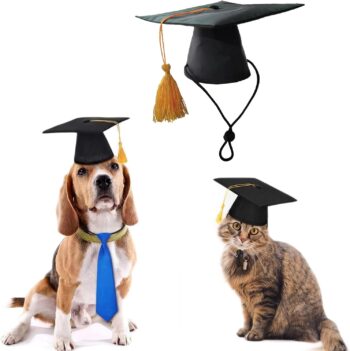 Pet Graduation Hat Dog Cat Pet Costumes Pet Doctor Cap with Yellow Tassel