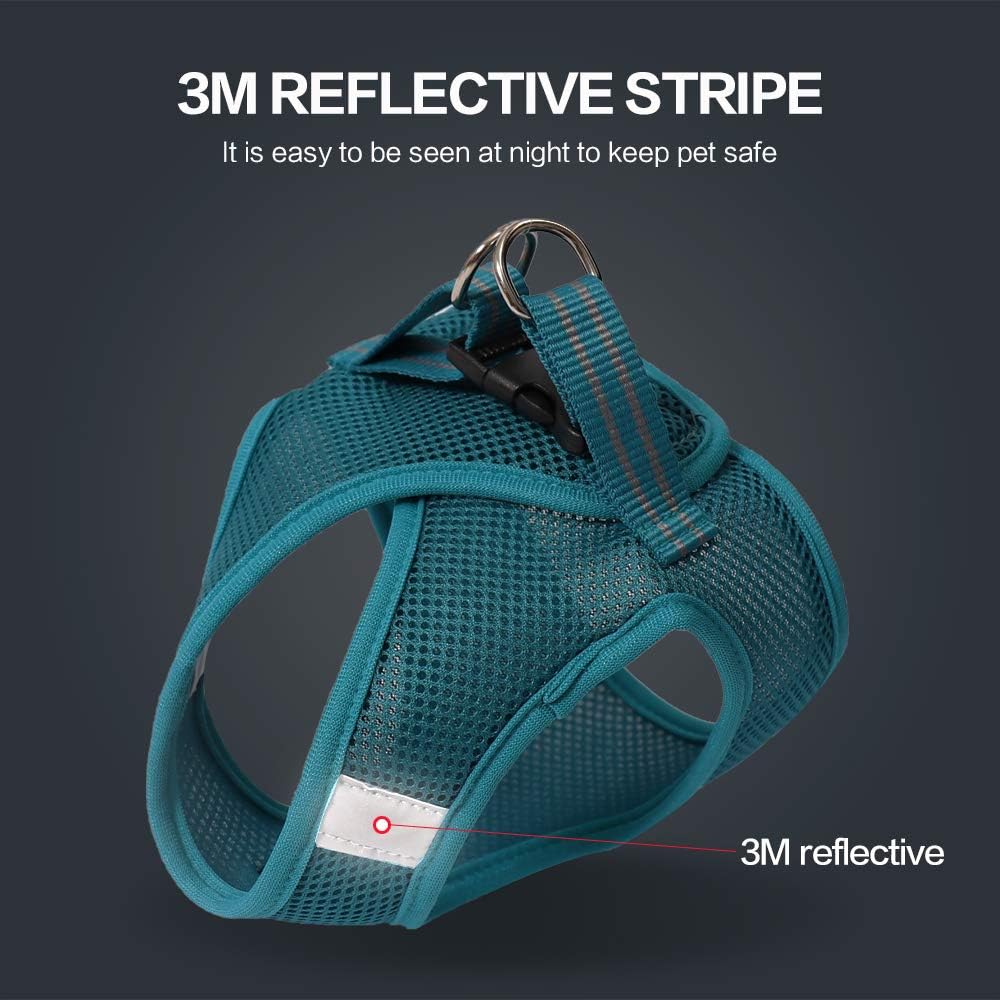 Cat Outdoor Walking Harness Set, Pet Vest Harness Breathable Mesh, Adjustable - Image 5