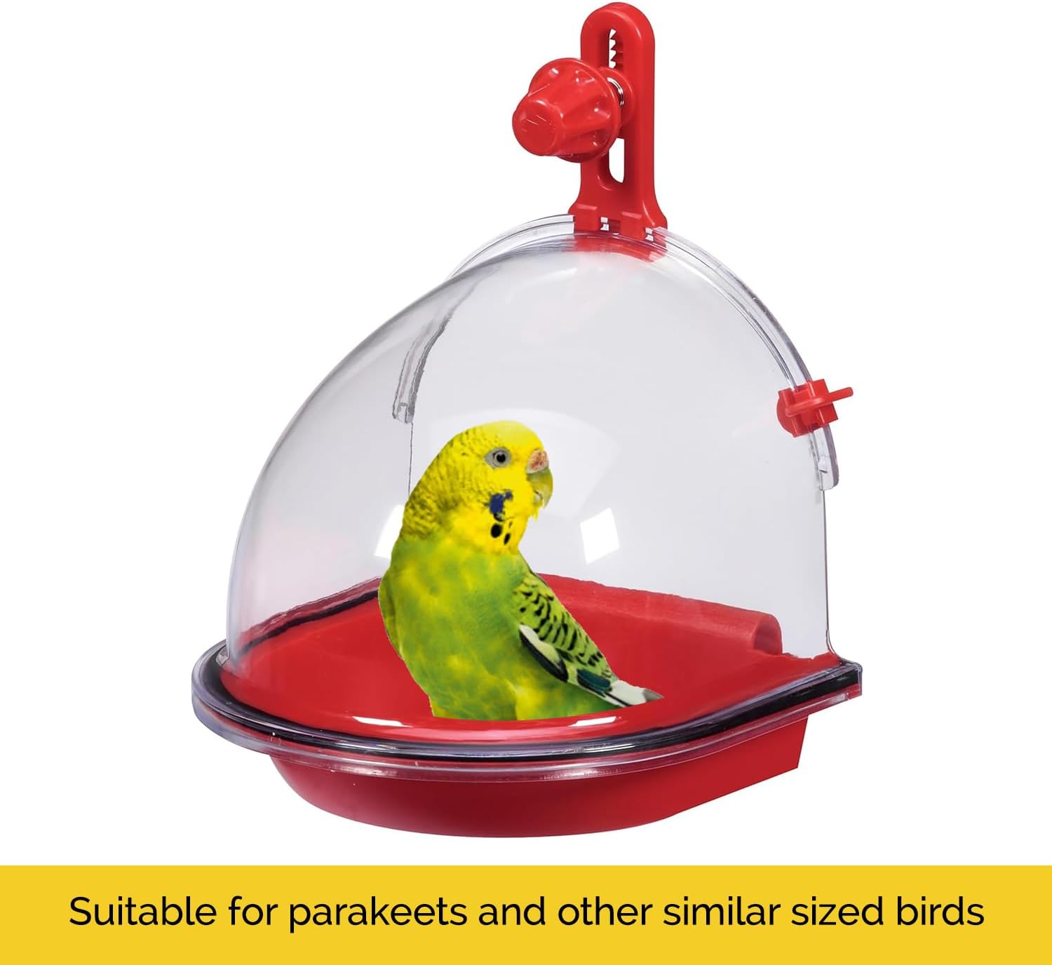 Bird Bath Accessory, Assorted Blend - Image 4
