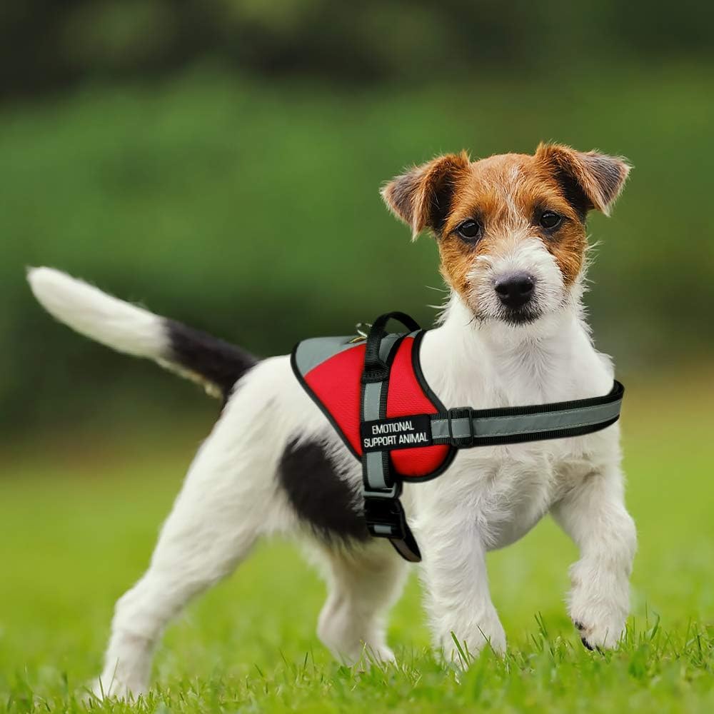 No Pull Emotional Support Dog Vest Harness for Service Dogs,Adjustable Harness - Image 7
