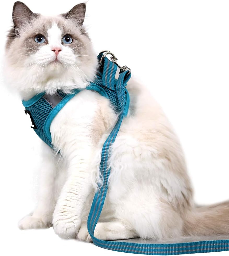 Cat Outdoor Walking Harness Set, Pet Vest Harness Breathable Mesh, Adjustable