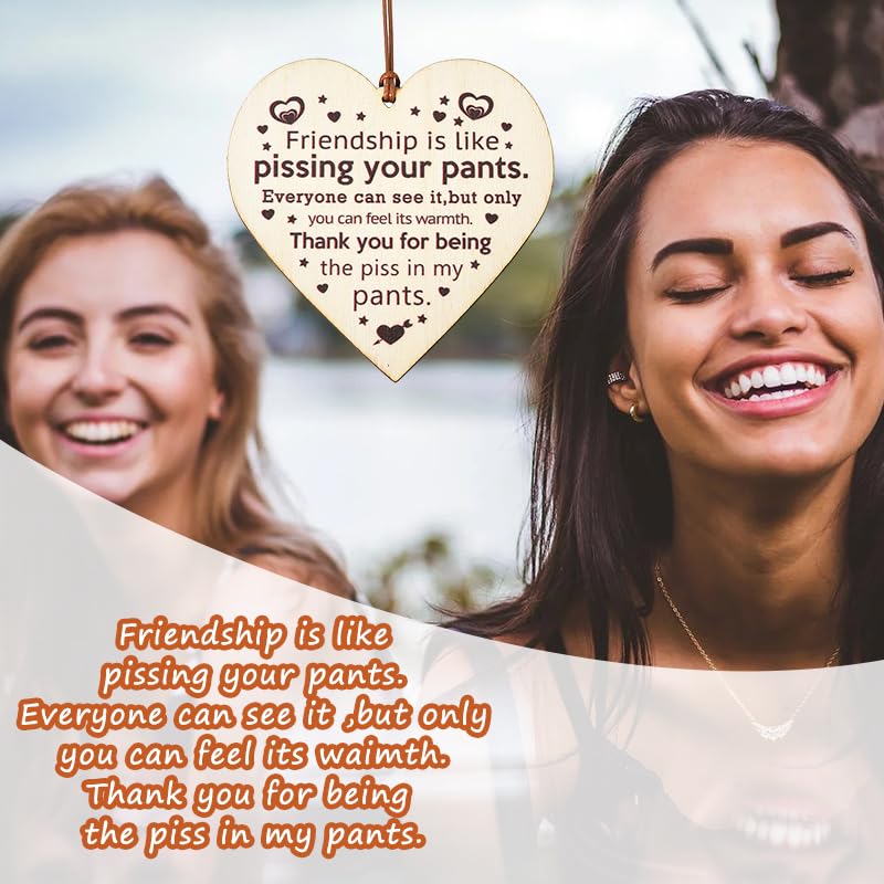 Funny Friend Gifts for Women Men Friends Sign Wall Decor Wood Best Friend Thank - Image 2