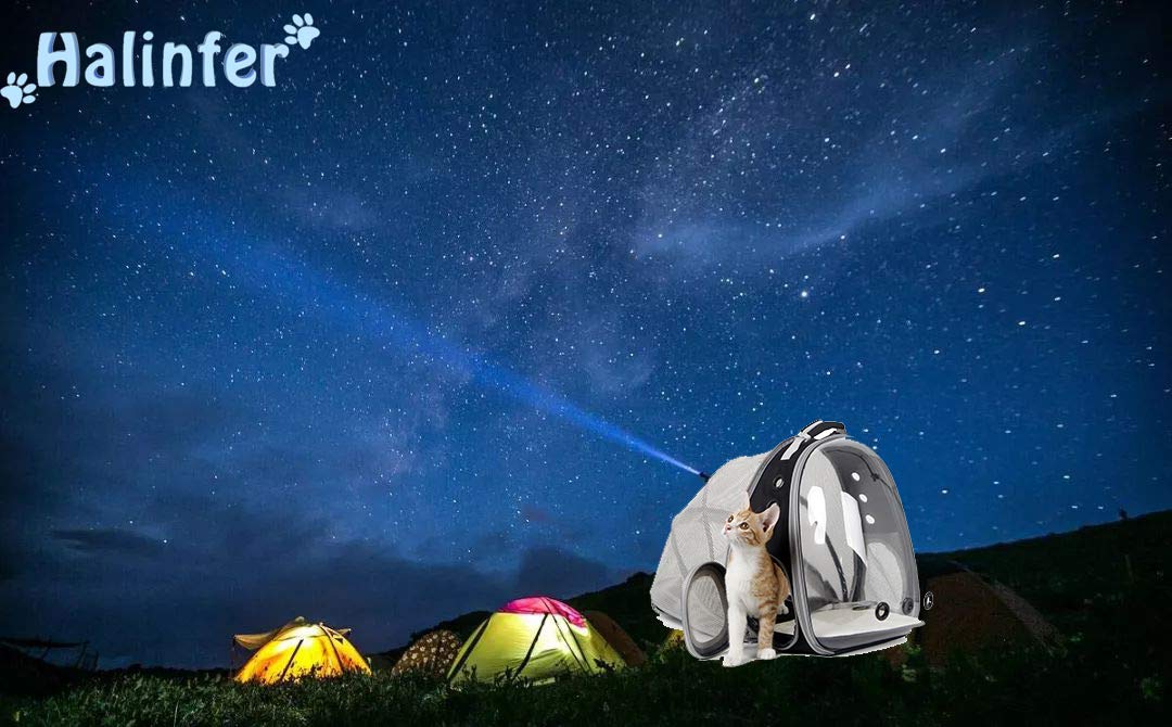 Cat Carrier Backpack, Expandable Pet Backpack for Small Dog, Space Capsule - Image 5