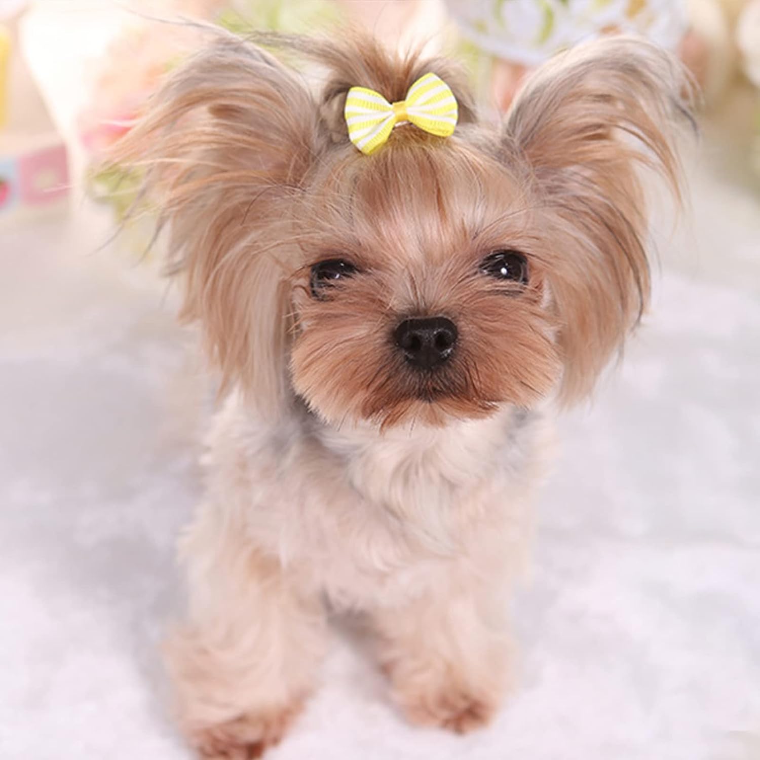 Pet Hair Clips, Bowknot Bows Dots Pet Hair Clips for Dog Cats Puppy,Random - Image 6