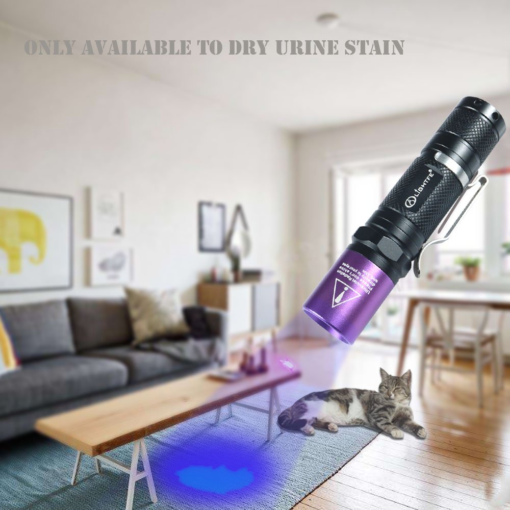 Black Light UV Flashlight with South Korea UV 395nm LED Source - Image 7