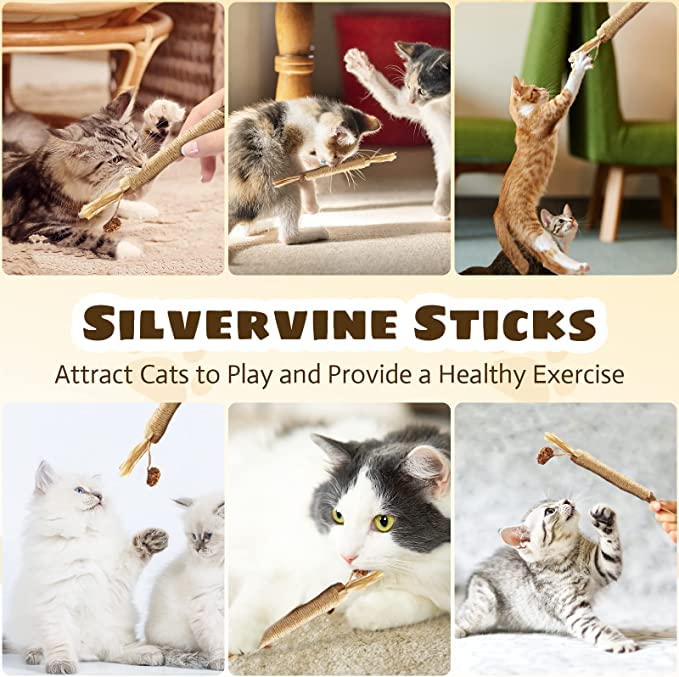 6 Pcs Catnip Toys Silvervine Chew Stick Natural Silvervine Blend Sticks Cat nips - Image 7