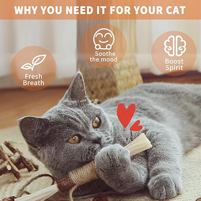 6 Pcs Catnip Toys Silvervine Chew Stick Natural Silvervine Blend Sticks Cat nips - Image 6