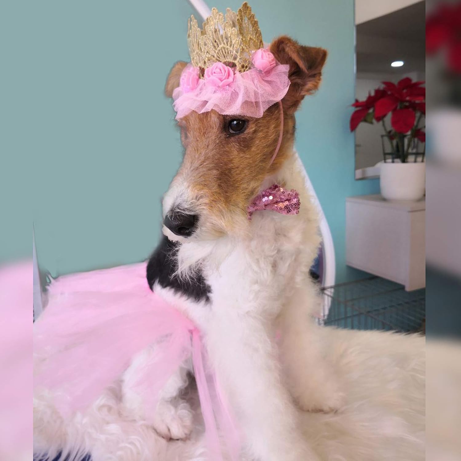 Dog Birthday Outfit Pink Puppy Tutu Crown Hat Bow tie Puppy Birthday - Image 2