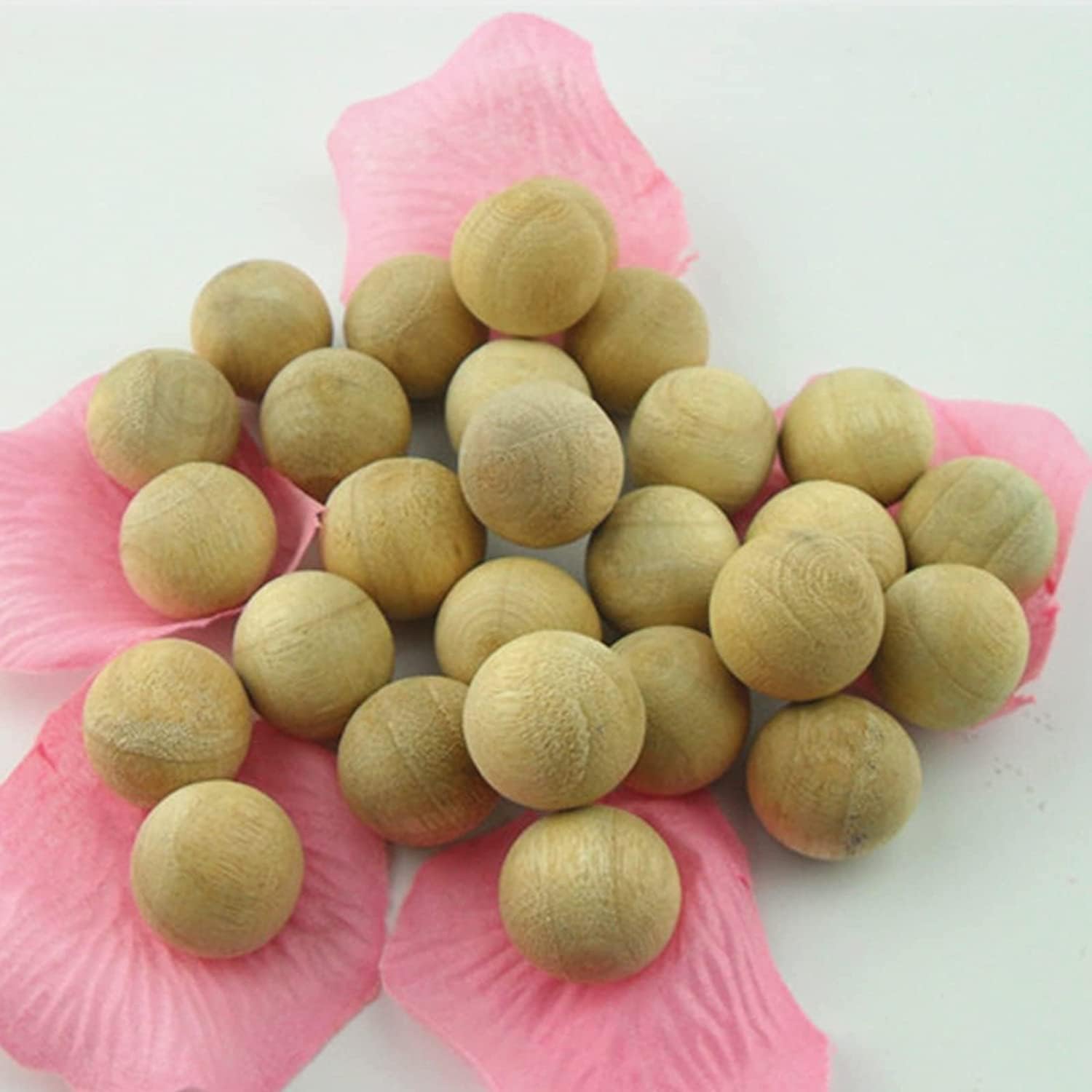160 PCS Moth Protection Storage Essentials-Fresh Cinnamomum Camphora Root - Image 3