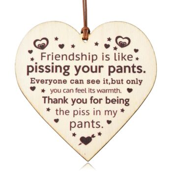 Funny Friend Gifts for Women Men Friends Sign Wall Decor Wood Best Friend Thank
