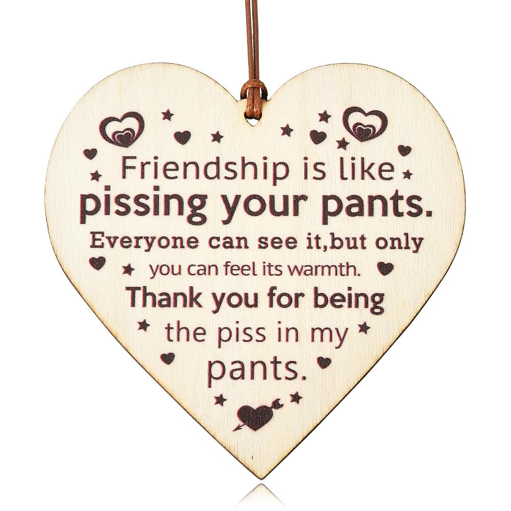 Funny Friend Gifts for Women Men Friends Sign Wall Decor Wood Best Friend Thank