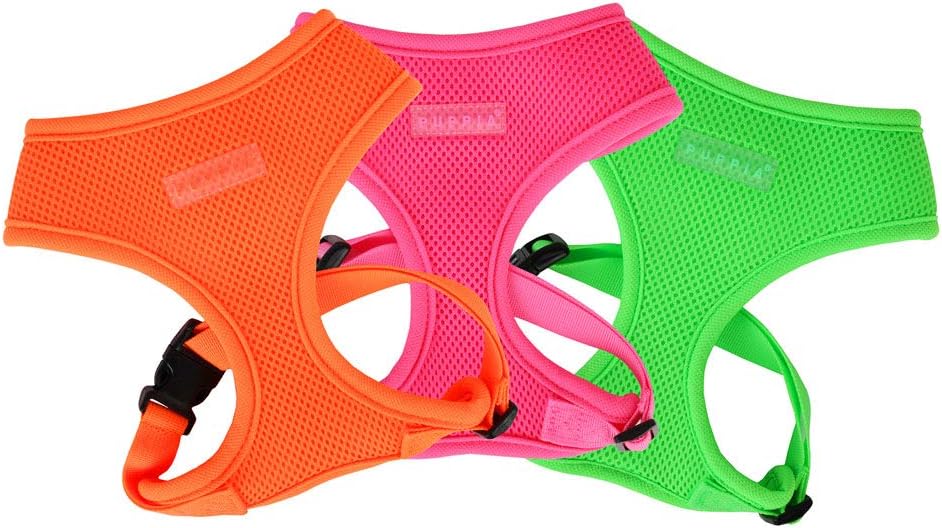 Neon Dog Harness, Orange Small S (Pack of 1) Orange - Image 3