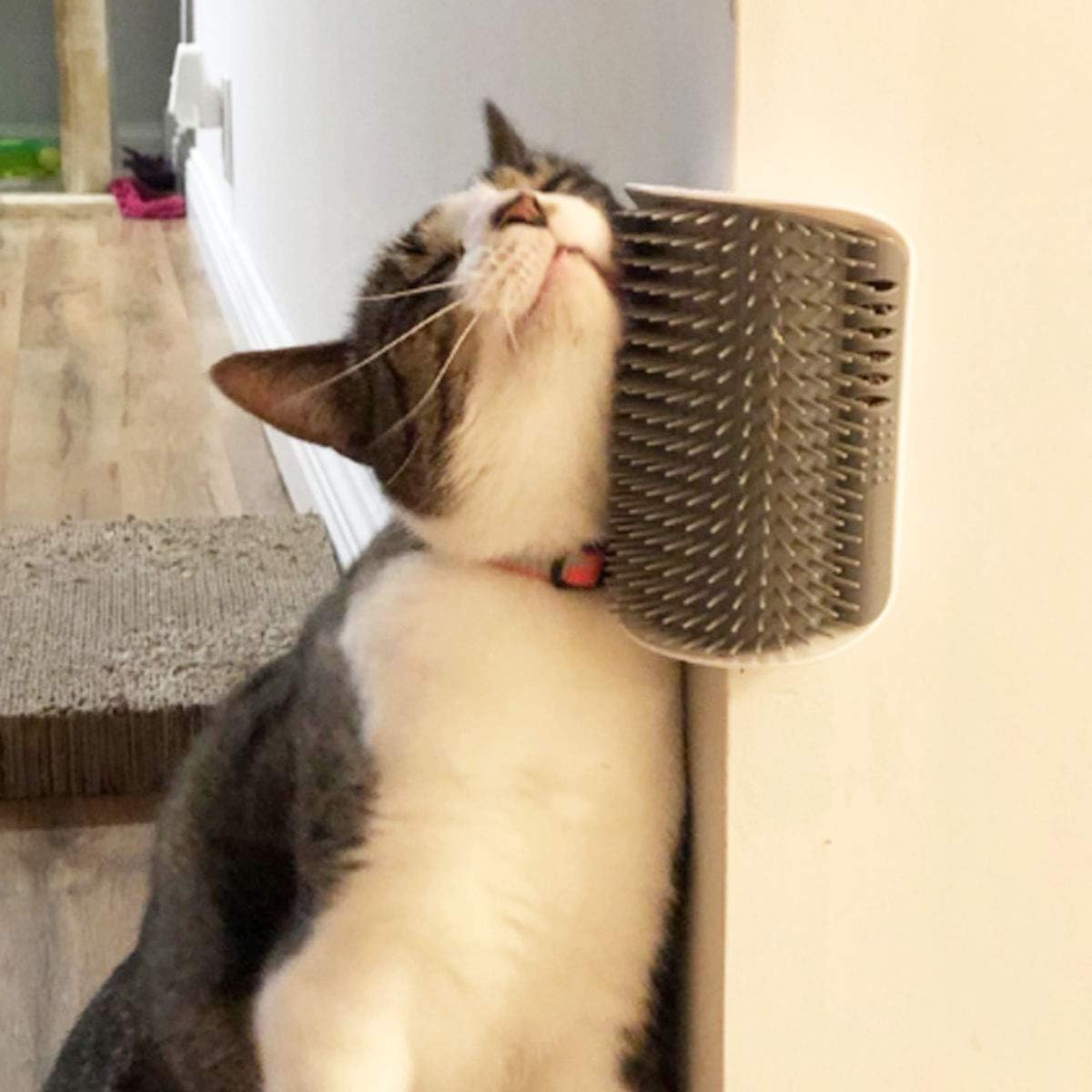 2 Pack Softer Cat Corner Self Groomer with Catnip Wall Corner Massage Comb - Image 6
