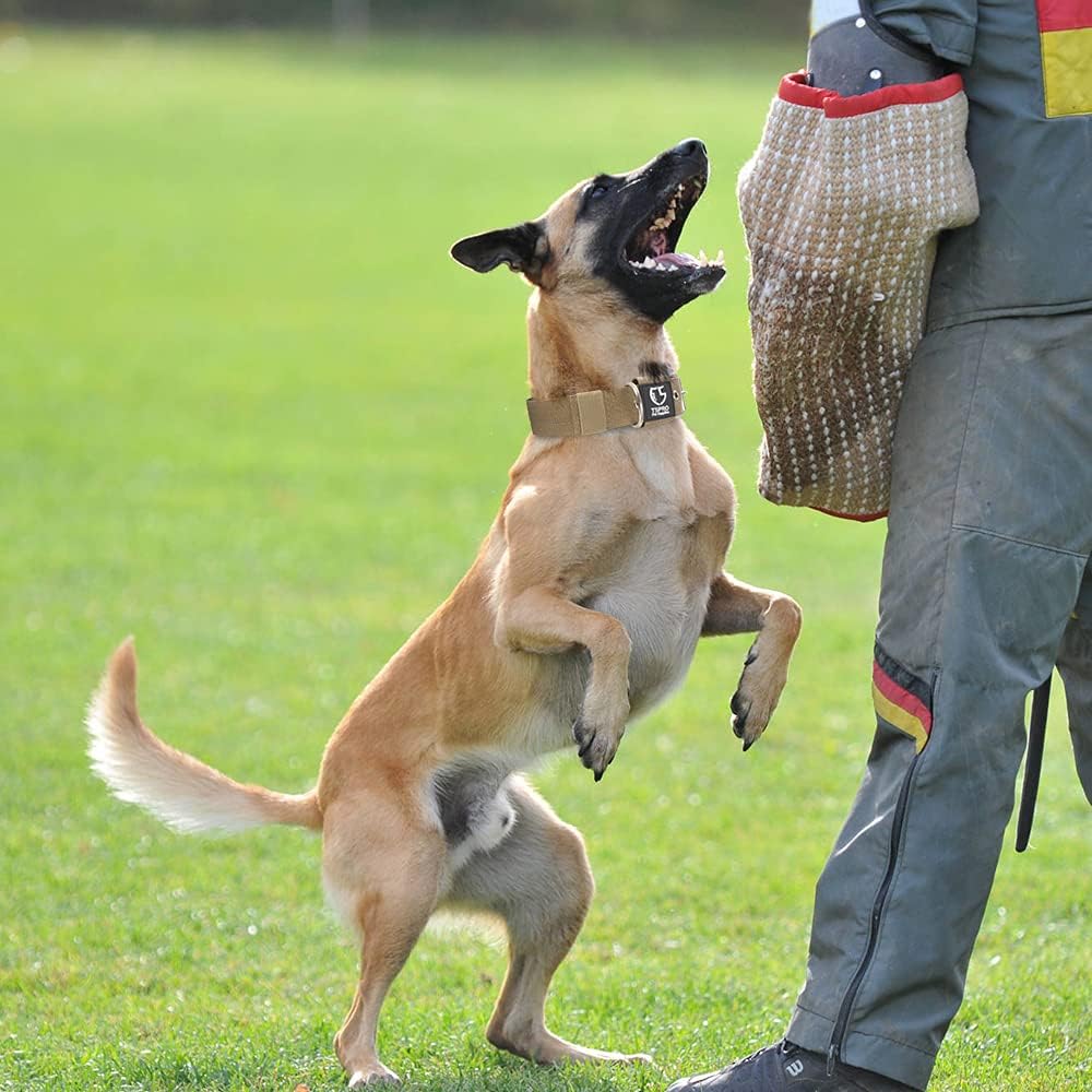 Tactical Dog Collar 1.5 inch Wide Dog Collar Military Grade Strong Dog Collar - Image 6